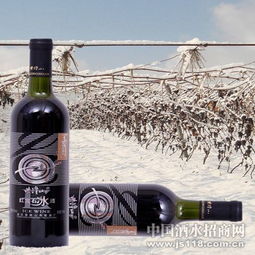 紫隆山紅寶石冰酒 品味時(shí)光凝萃，共創(chuàng)財(cái)富未來——通化紫隆山葡萄酒廠火熱招商